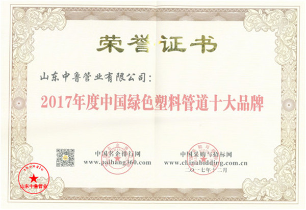 2017年度中国绿色管道十大品牌爱游戏app官网入口的荣誉证书